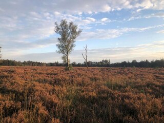 Casa per le vacanze Uddel Ambiente 21
