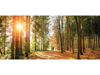 Holiday house Uddel Environment 35