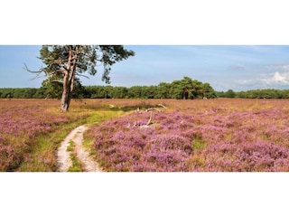 Vakantiehuis Uddel Omgeving 34
