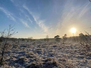Vakantiehuis Uddel Omgeving 35