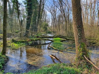 Vakantiehuis Boxtel Omgeving 39