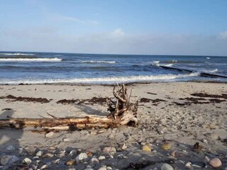 Vakantiehuis Dronningmølle  9