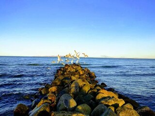 Holiday house Dronningmølle  31