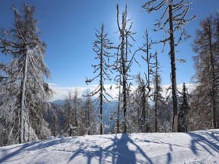 Casa per le vacanze Bad Kleinkirchheim Ambiente 7