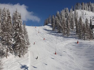 Ferienhaus Bad Kleinkirchheim Umgebung 10