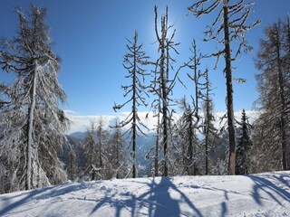 Casa per le vacanze Bad Kleinkirchheim Ambiente 14