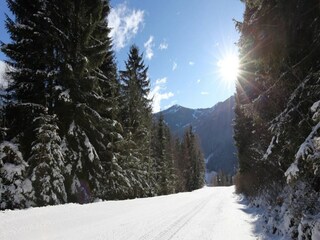 Casa per le vacanze Bad Kleinkirchheim Ambiente 15