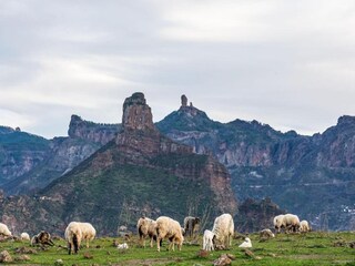 Maison de vacances Playa del Inglés Environnement 34