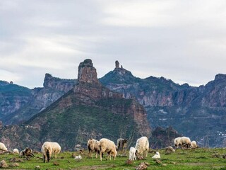 Apartment Costa Meloneras Umgebung 23