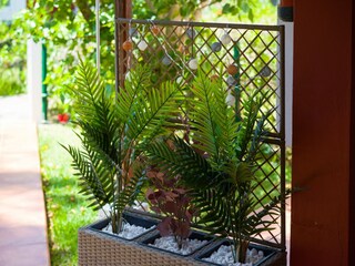 Bungaló Playa del Inglés  27