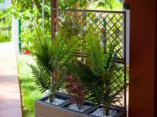 Bungalow Playa del Inglés  34