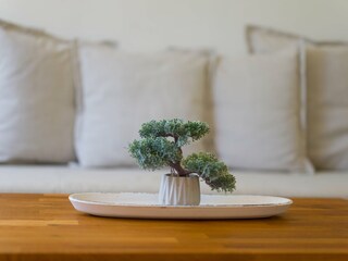 Bungalow Playa del Inglés  39