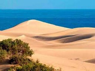 Bungalow Playa del Inglés Umgebung 24