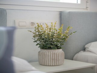 Bungaló Playa del Inglés  35