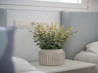 Bungaló Playa del Inglés  38