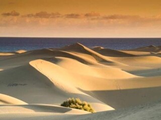 Appartamento Playa del Inglés Ambiente 36