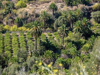 Appartamento Playa del Inglés Ambiente 29