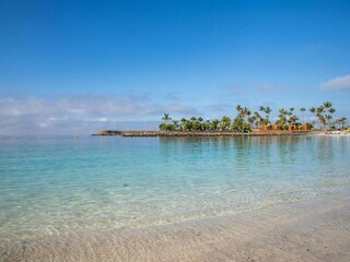 Apartamento Playa del Inglés Entorno 39