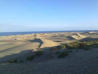 Apartamento Playa del Inglés Entorno 35