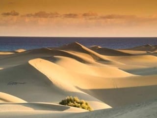 Appartamento Playa del Inglés Ambiente 38