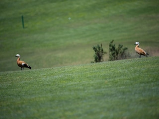 Chalet Arguineguin  32