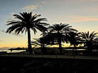 Appartamento Puerto de Mogán Ambiente 30