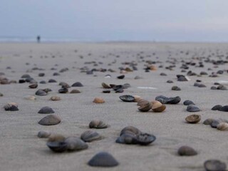 Apartamento de vacaciones Norderney Entorno 20