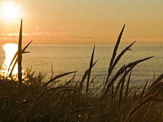 Apartamento de vacaciones Norderney Entorno 19