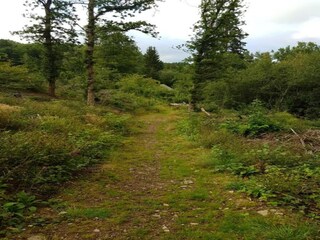 Vakantiehuis Boxtel Omgeving 32