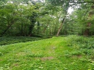 Ferienhaus Boxtel Umgebung 16