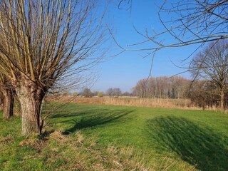 Vakantiehuis Boxtel Omgeving 20