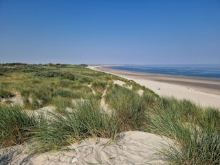 Ferienhaus Kamperland Umgebung 18