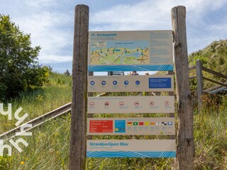 Bungalow Westkapelle Umgebung 40