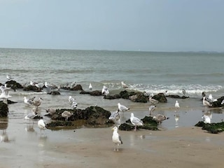 Appartamento Knokke-Heist Ambiente 21