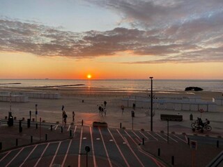 Appartement Knokke-Heist Omgeving 50