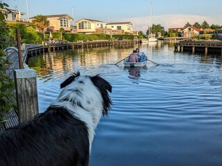 Vakantiehuis Workum Omgeving 30