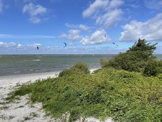 Vakantiehuis Workum Omgeving 23