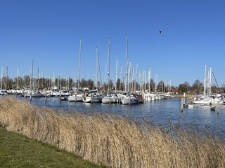 Vakantiehuis Workum Omgeving 26