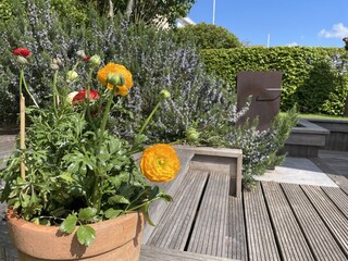 Holiday house Workum Outdoor Recording 13