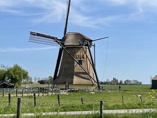 Vakantiehuis Workum Omgeving 38