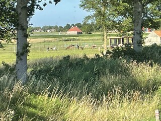 Vakantiehuis Workum Kenmerken 20