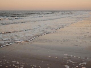 Appartement Knokke-Heist Environnement 13