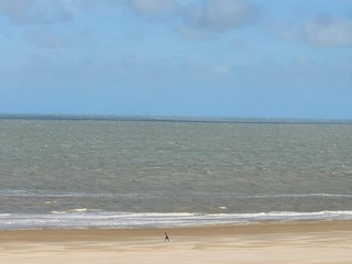 Apartment Knokke-Heist Environment 61