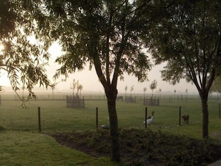 Apartment Knokke-Heist Environment 34