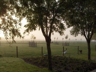 Appartement Knokke-Heist Environnement 34