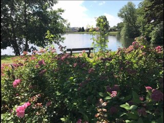 Appartamento Knokke-Heist Ambiente 38