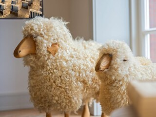 Kamin-/Ofen