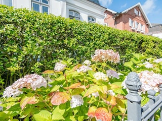 Ferienwohnung Westerland Außenaufnahme 5