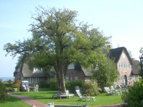 Ferienwohnung 3 Friesenhof Kapitän Bendixen, Nordsee