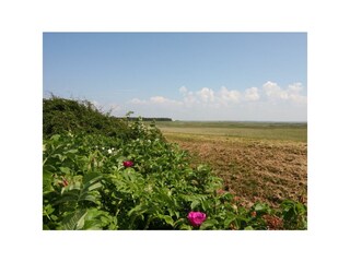 Ferienwohnung Rantum Außenaufnahme 9